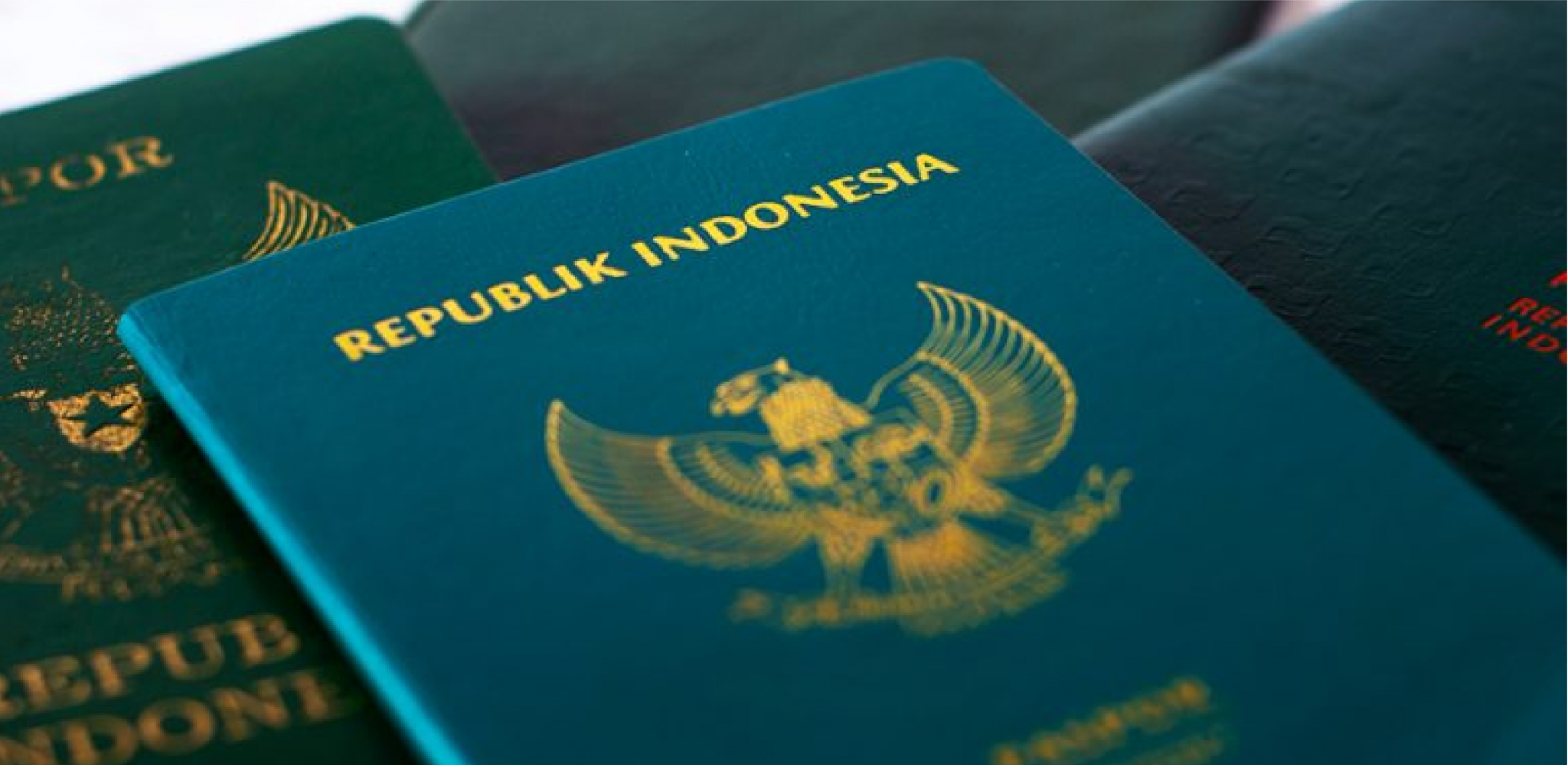 A Complete Guide To Renew Your Passport Online 2023 - Otaqu